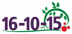 Logo Oficial 16-10-15