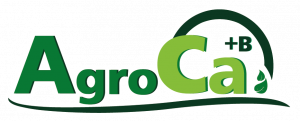 Logotipo Oficial Agro CA +B