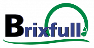 Logo Oficial Brixfull