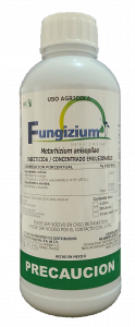 FUNGIZIUM